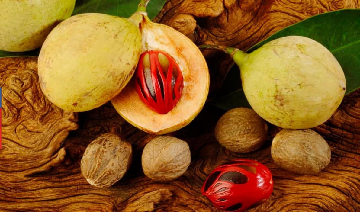 Grenada for Foodies: Your Complete Culinary Guide to the Spice Isle