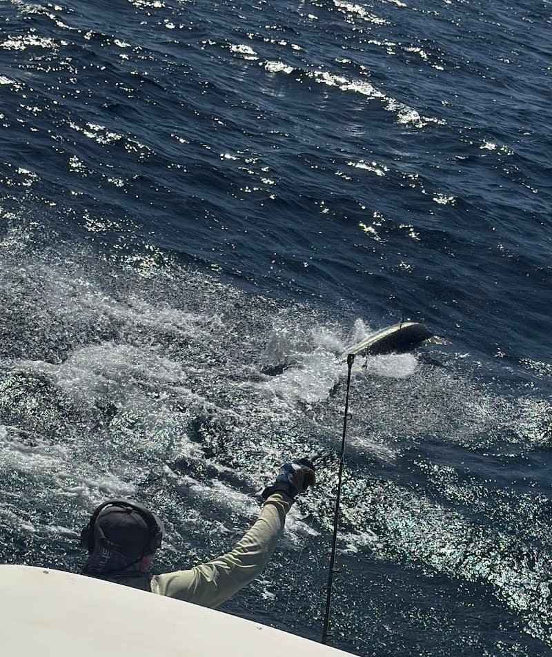 True Blue Sportfishing