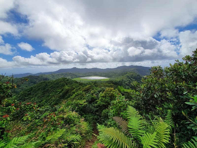 Grand Étang National Park