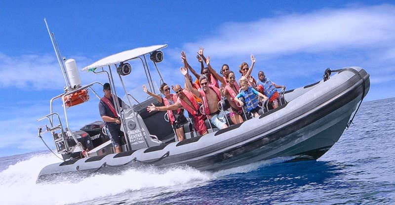 Grenada Seafaris