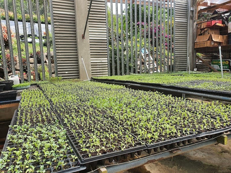 Garden Plus Agri Depot