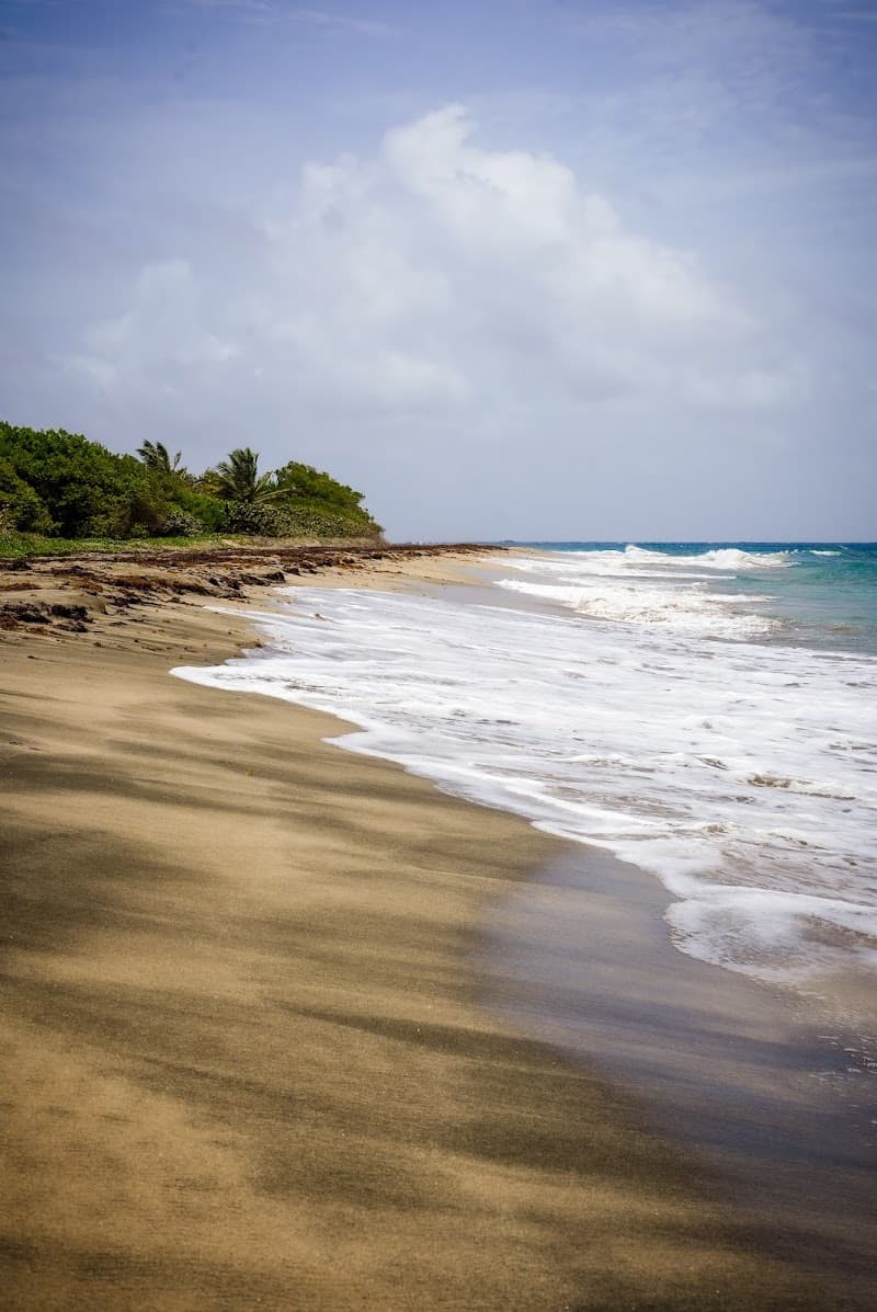 Turtle Beach