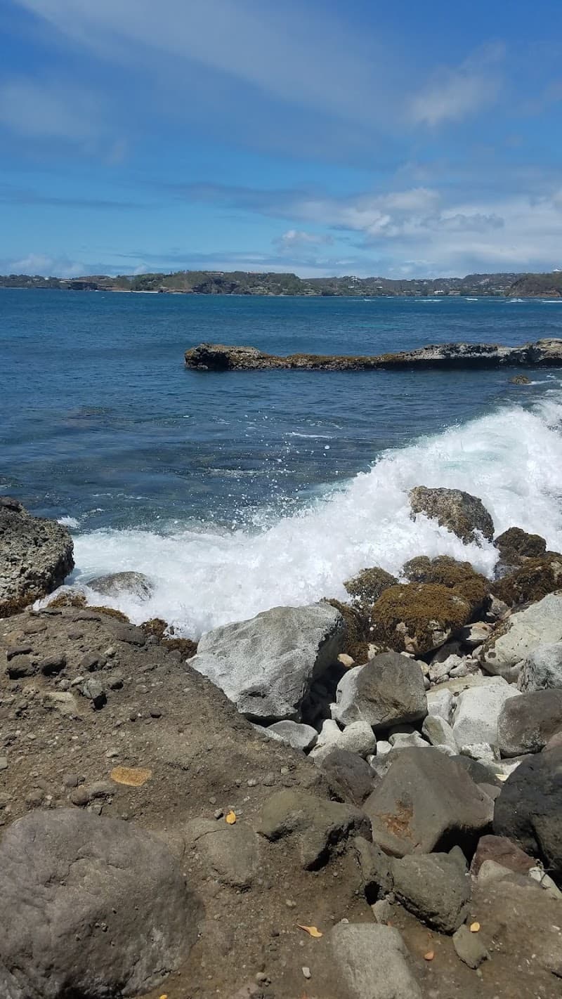 St.davids