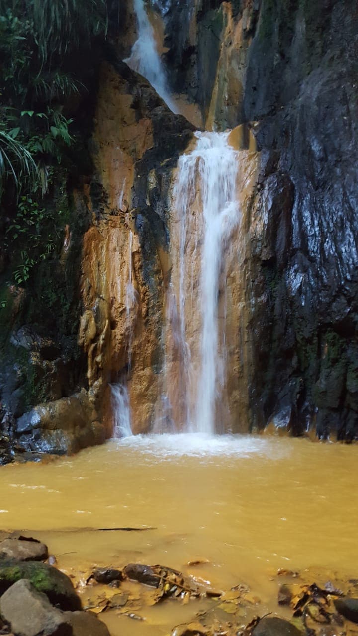 Real Grenadian Taxi and Tours
