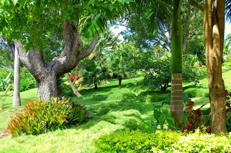Sunnyside Garden