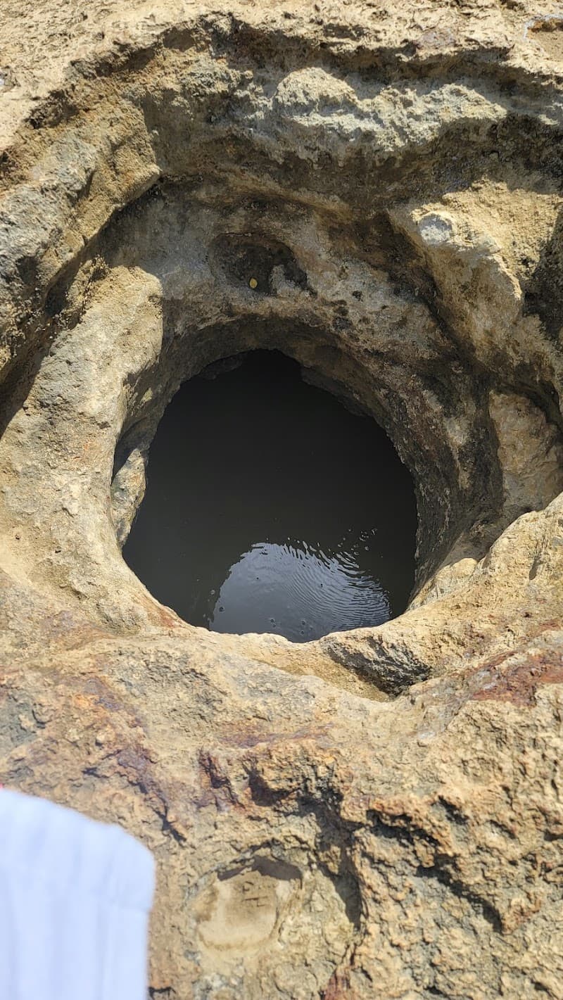 Sulphur Springs