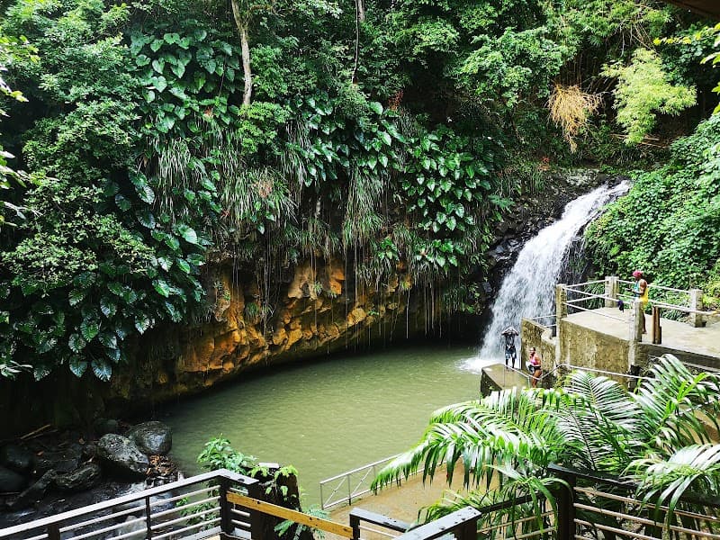 Explorer Grenada Tours