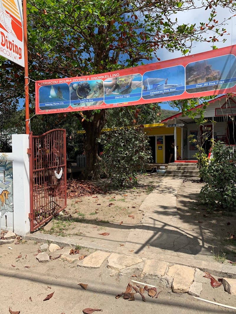 Deefer Diving Carriacou