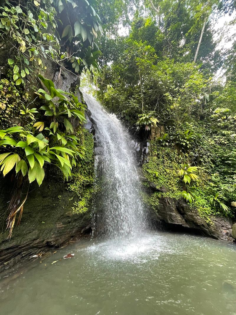 Adelphi Falls