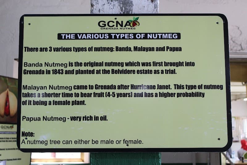 Grenada Nutmeg Museum