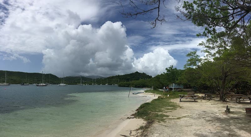 Roger's Barefoot Beach Bar