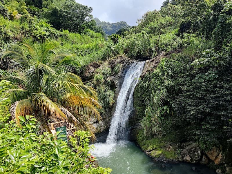 Concord Falls