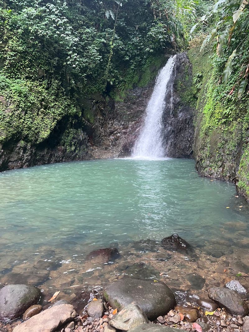 Seven Sisters Waterfalls Grenada