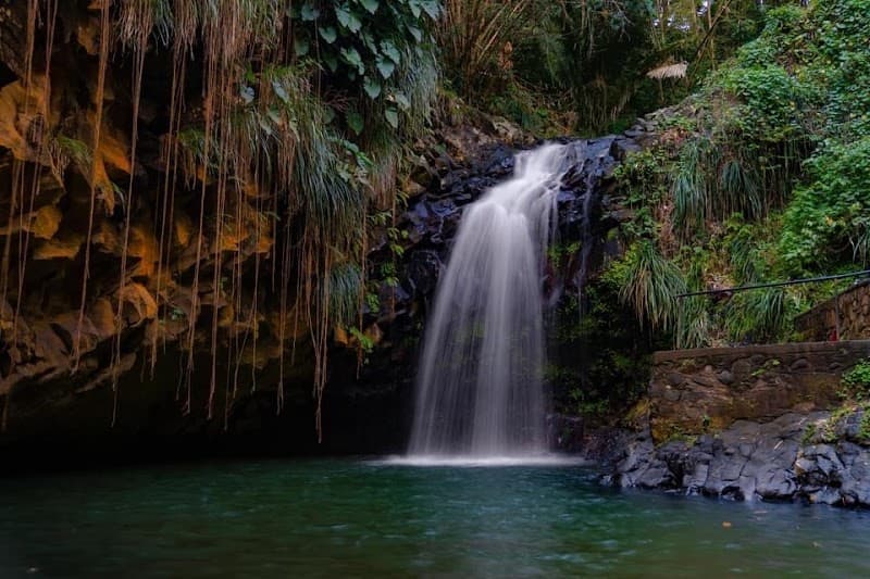 Annandale Waterfall & Forest Park