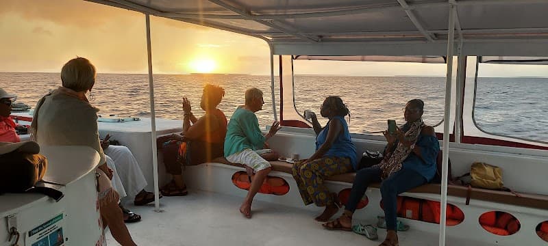Starwind catamaran sailing