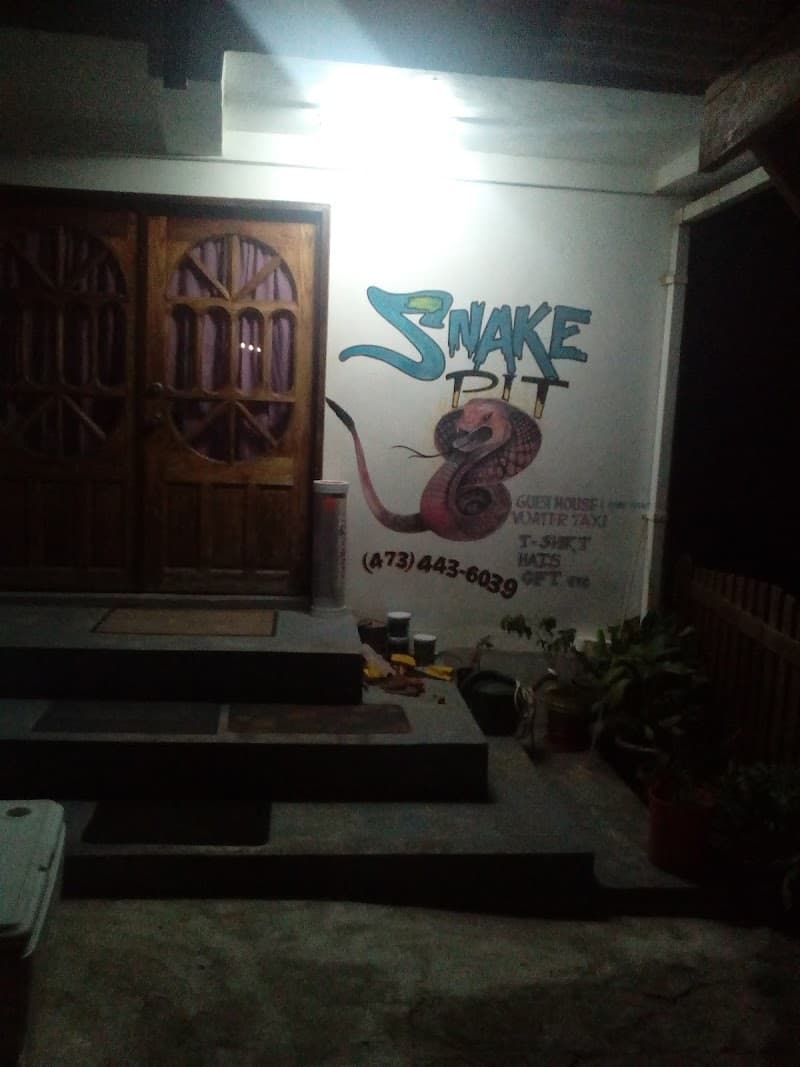 Snake PIt