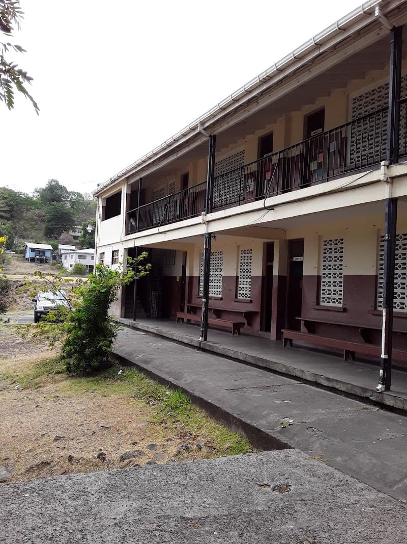 South St.George Government School