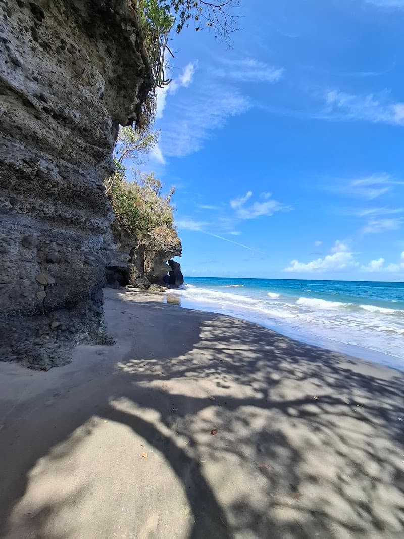 David Beach (Daavee pronunciation)