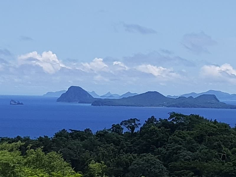 Grenada Blair Athol Estate