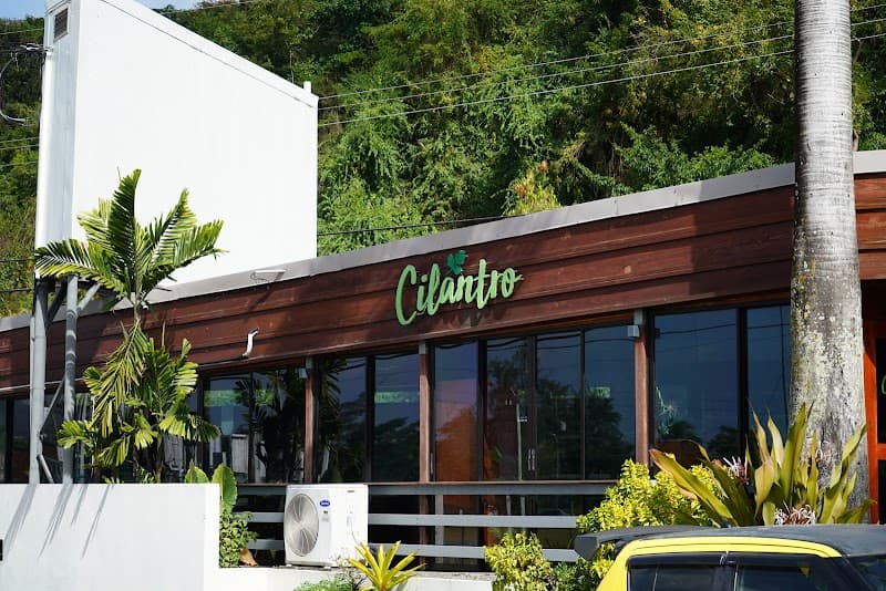 Cilantro