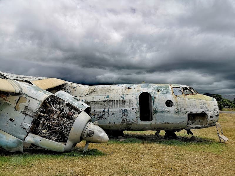 Revolutionary Relic Planes