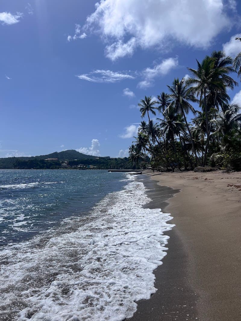 Prospect Beach