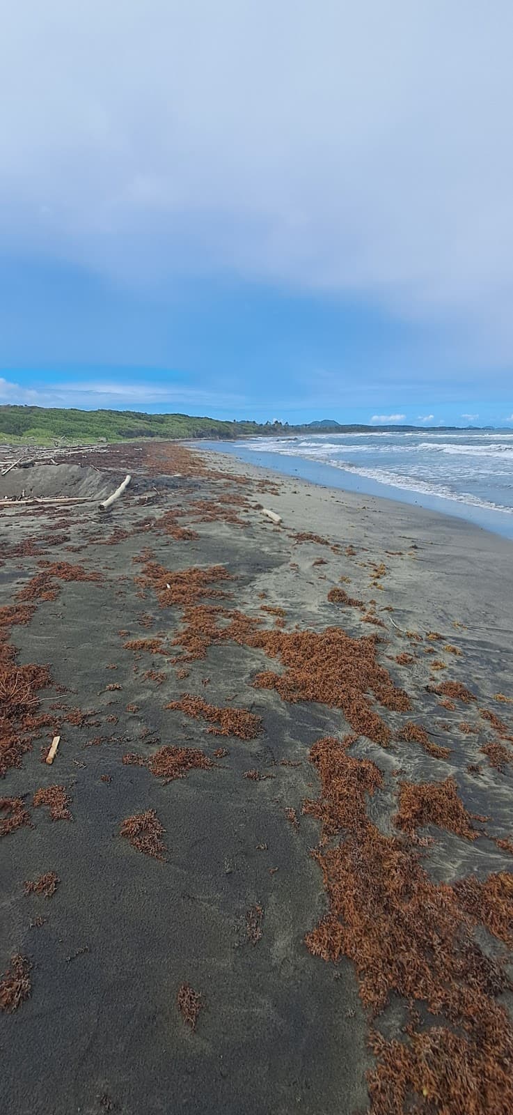Telescope Beach