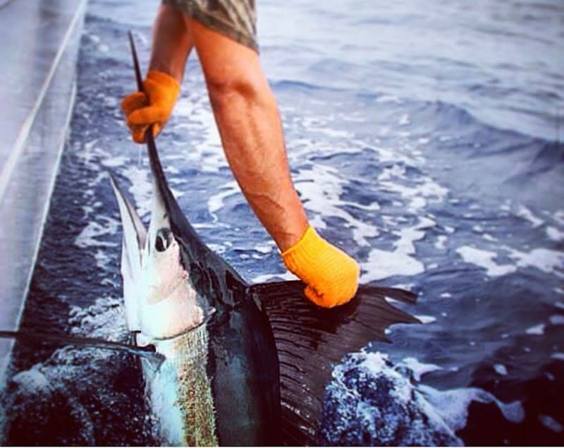 Hard Play Fishing Charters, Grenada
