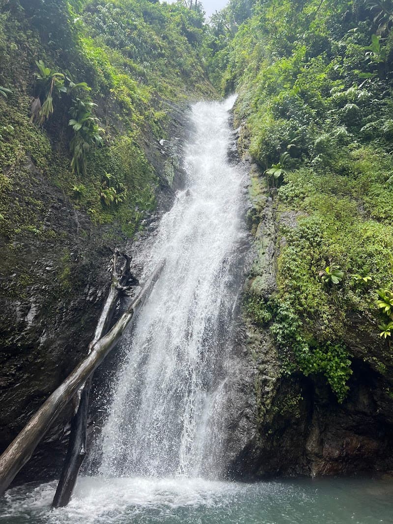 Au Coin Waterfall