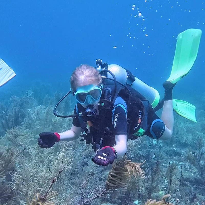 Caribbean Reef Buddy
