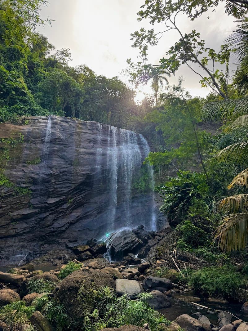 Mt Carmel Falls