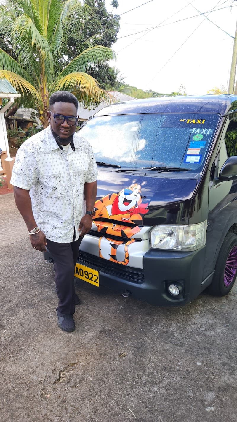 Tony's Taxi and Tours
