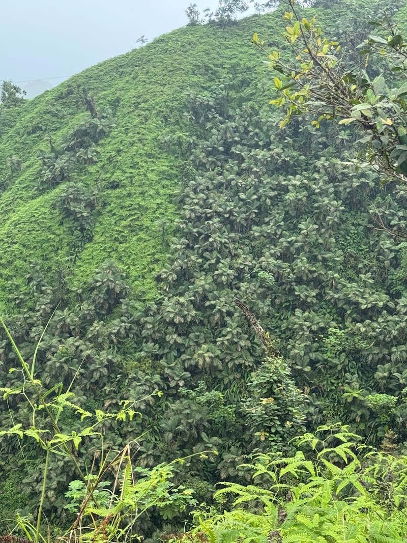 Mt. Kublal