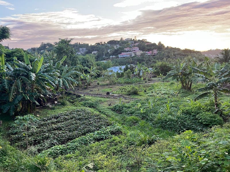 Home Hospitality Grenada