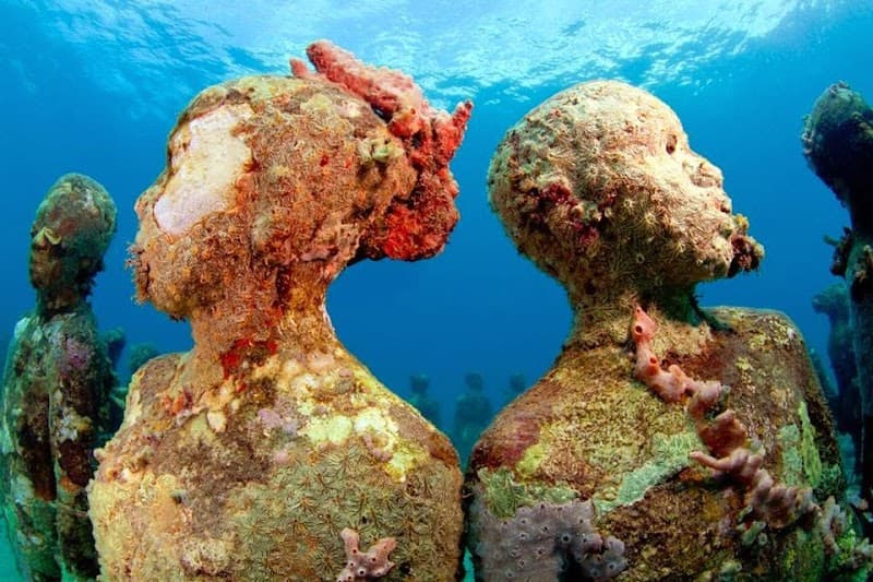 Eco Dive, Grenada Blue