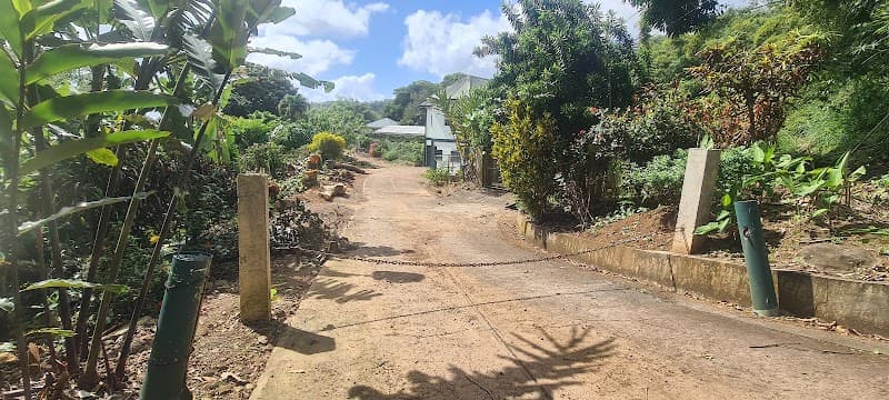 Ashenden nursery