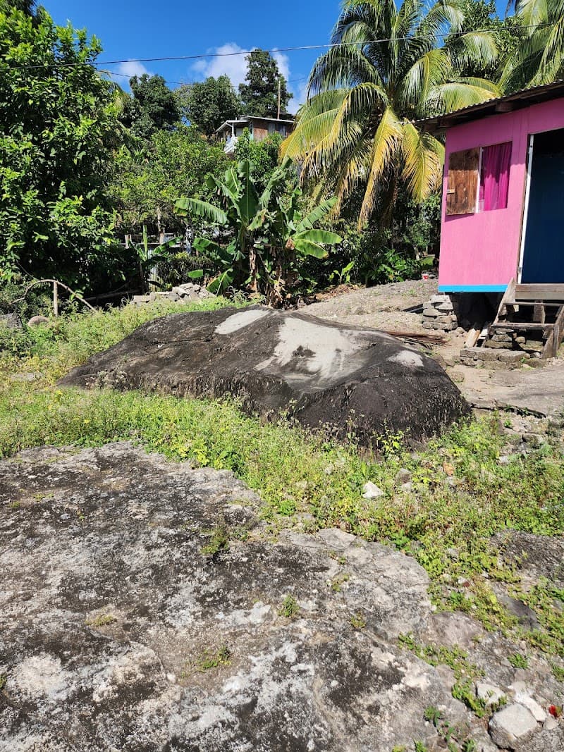 Amerindian Petroglyph