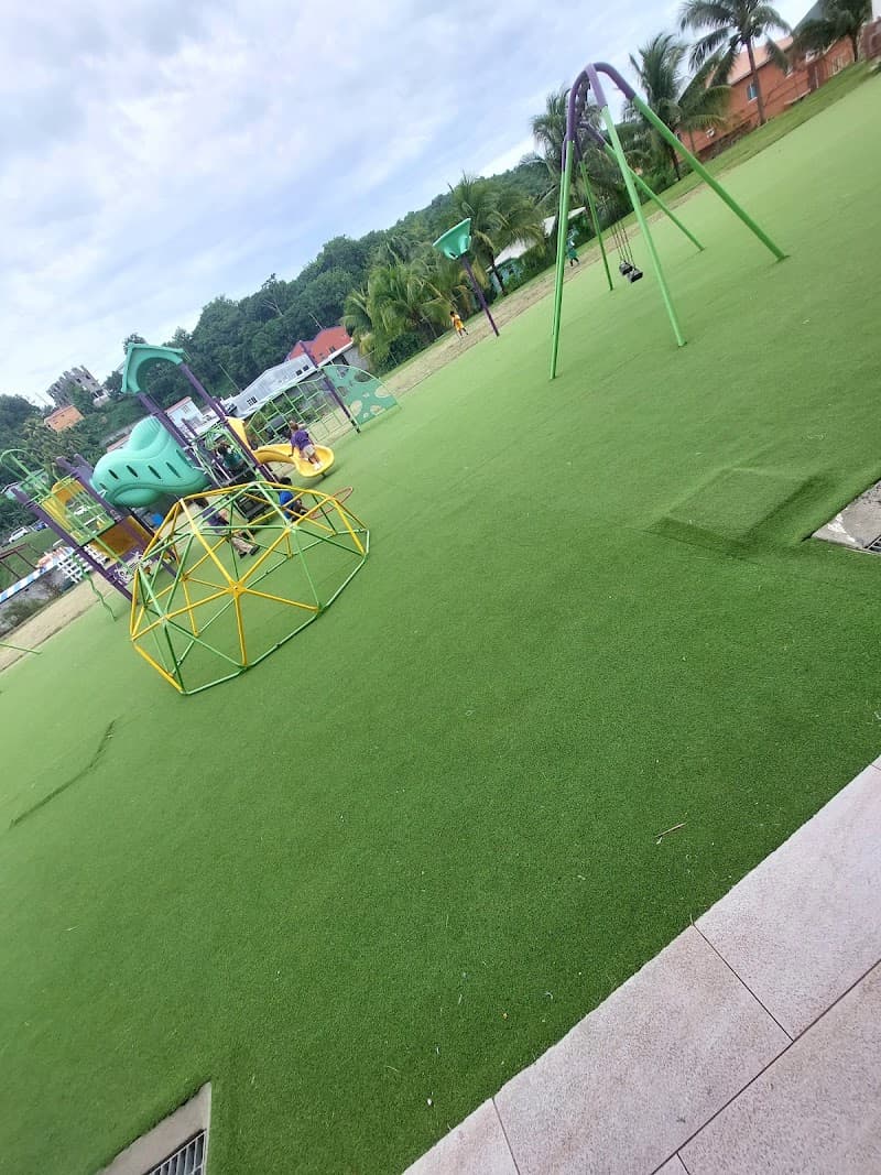 Divine Savior Academy
