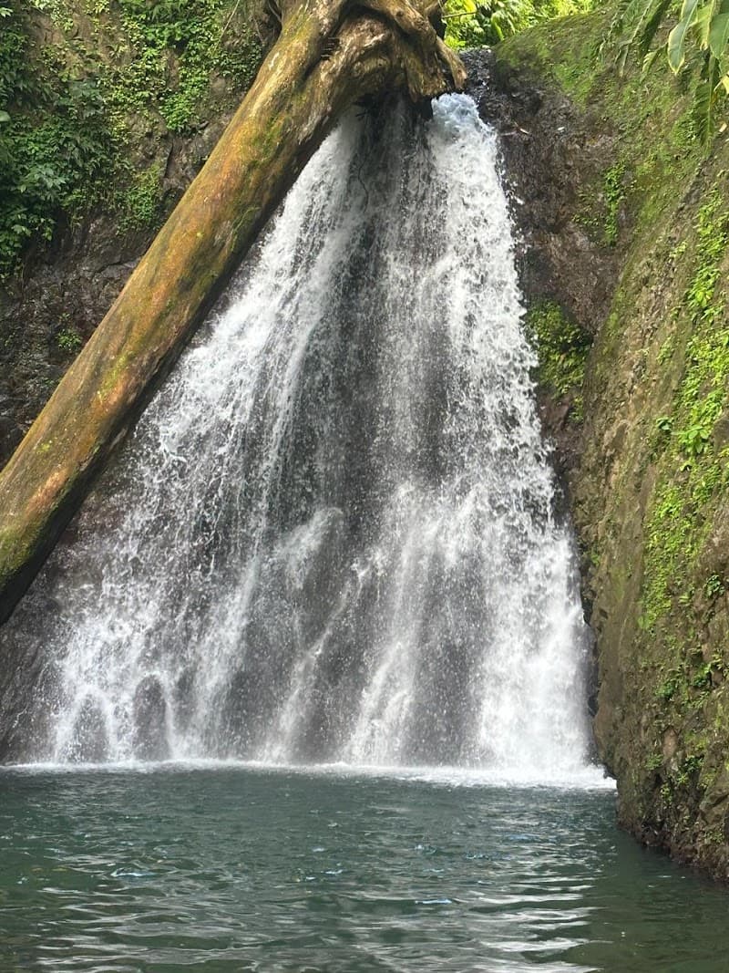 Spice Isle Travel & Tours