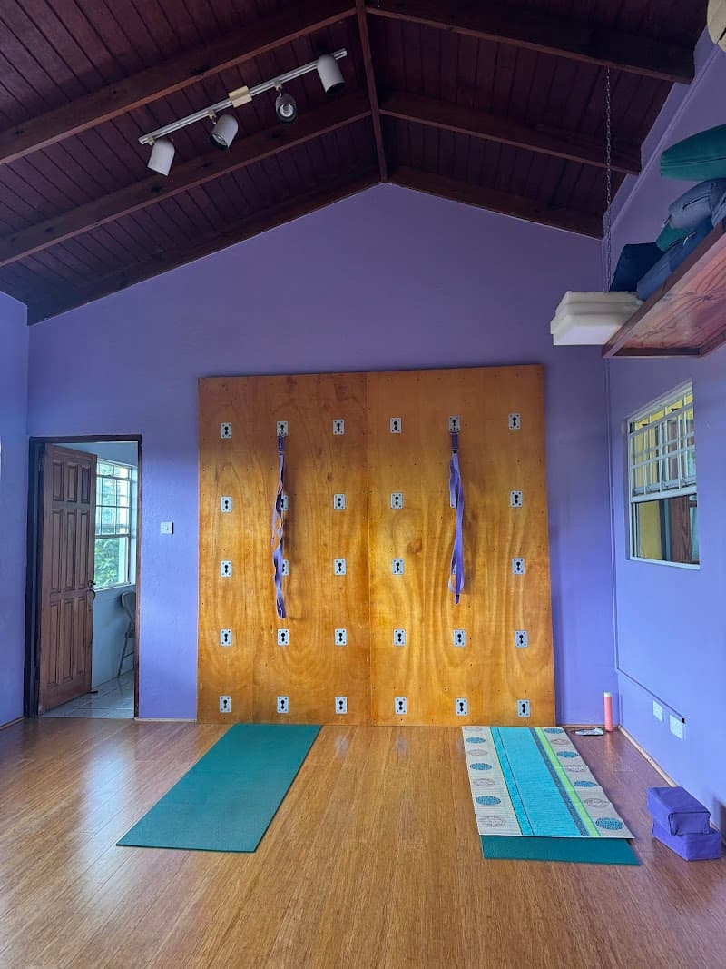 Spice Harmony Yoga Studio